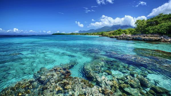 programmes de protection des récifs coralliens sur le territoire de la Guadeloupe